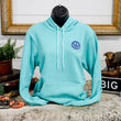Load image into Gallery viewer, We Are Big Paw Hoodie