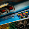 Load image into Gallery viewer, Back To Big Paw Sticker