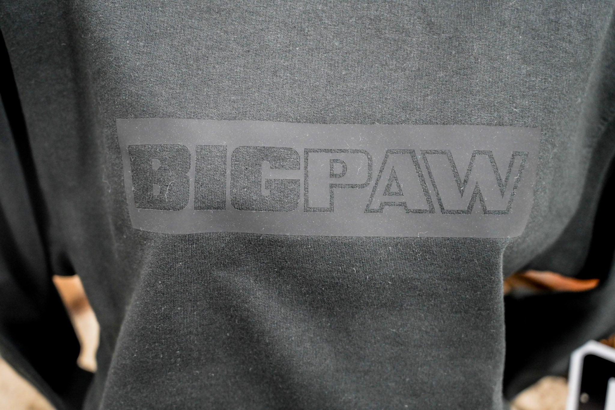 Big Paw Block Hoodie