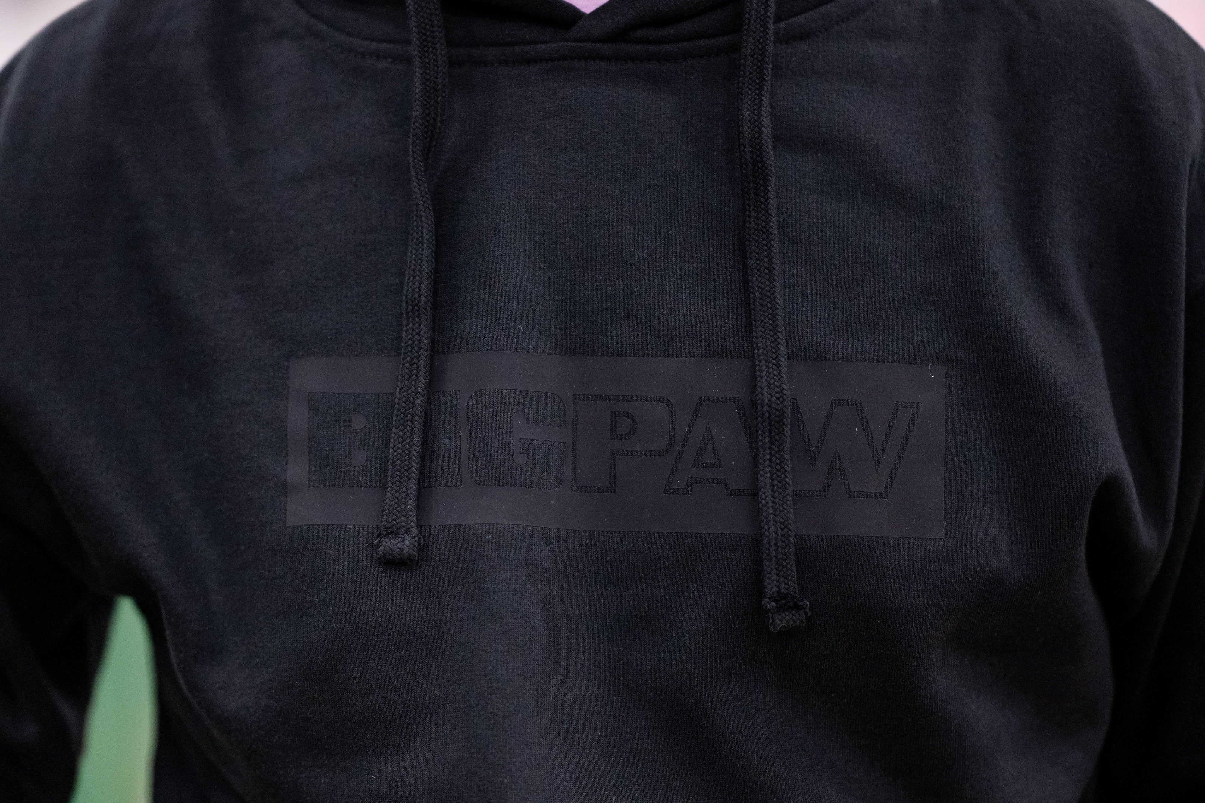 Big Paw Block Hoodie