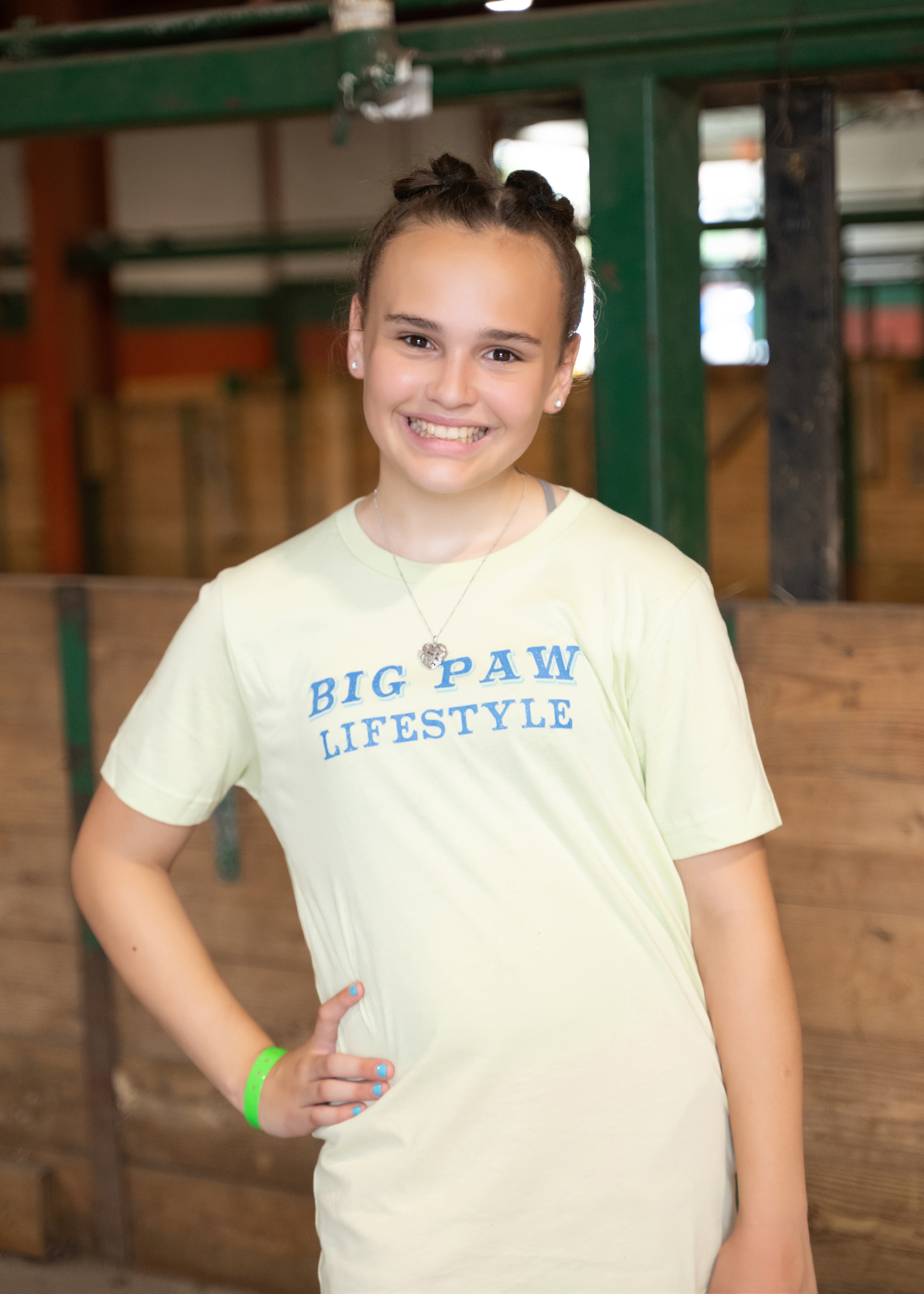 Hampshire V. I T-Shirt