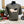 Load image into Gallery viewer, Rollin With The Poland V.II T-Shirt
