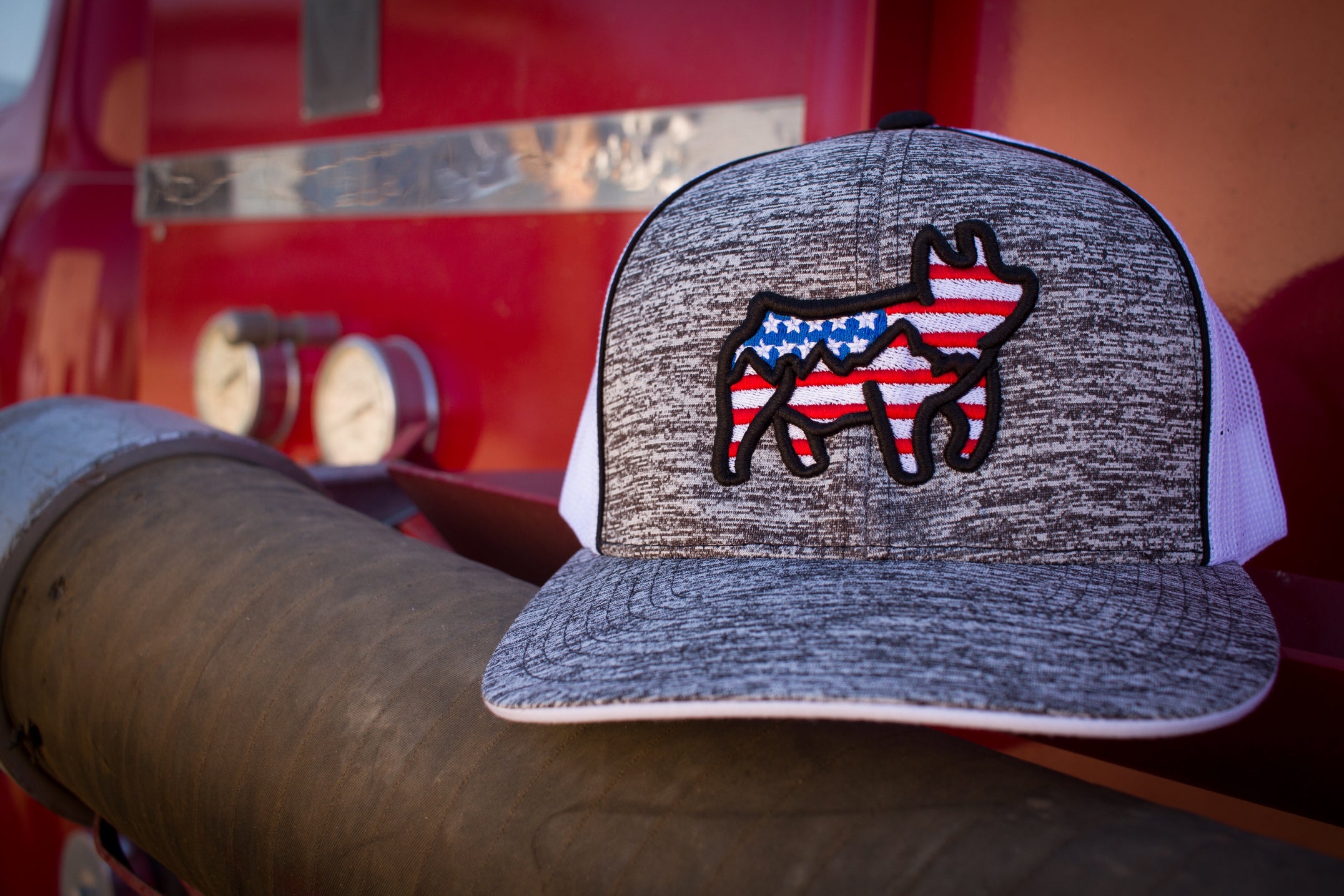 All-American Pig Embroided Hat