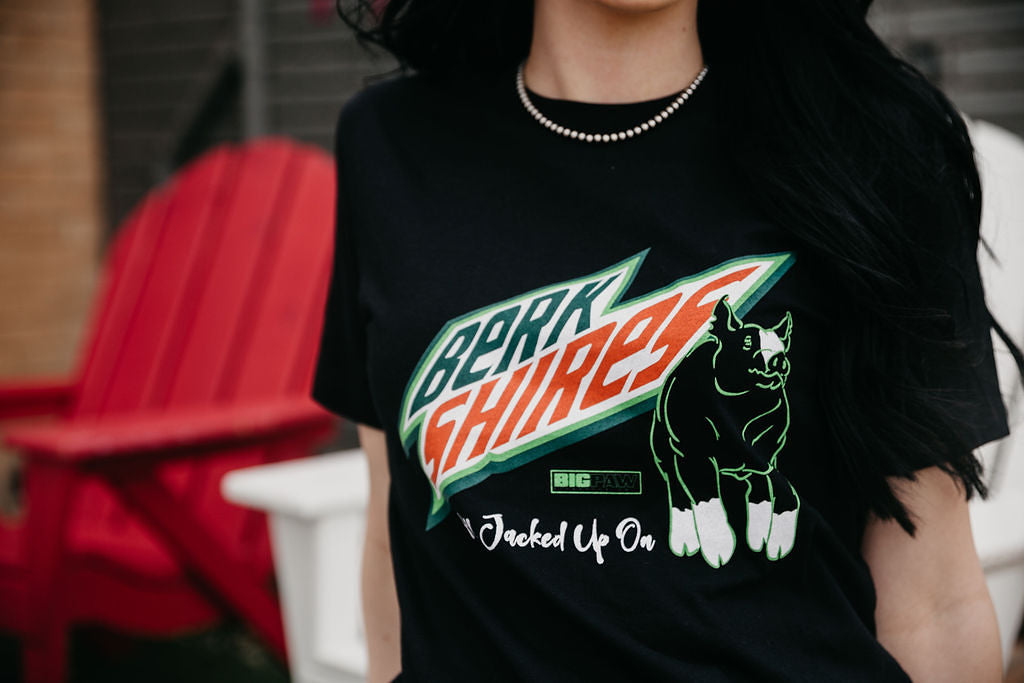 Berkshire Mountain V. III T-Shirt