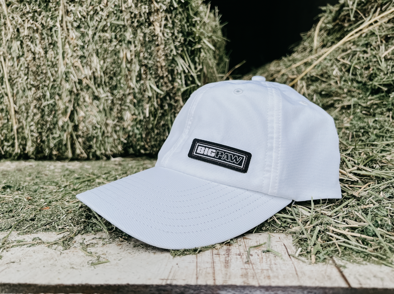 Big Paw Block Offset Small Patch Hat