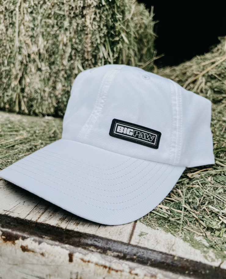 Big Paw Block Offset Small Patch Hat