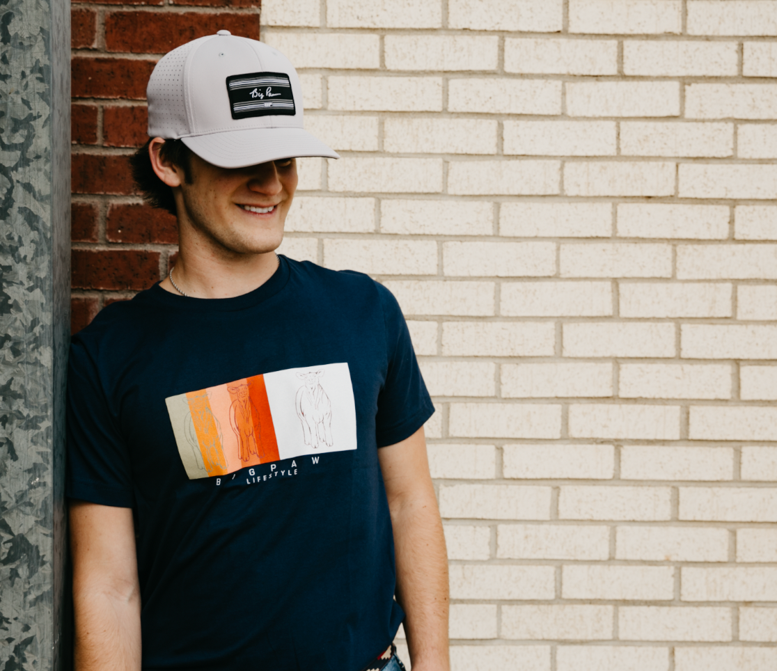 BP Cattle Color Block