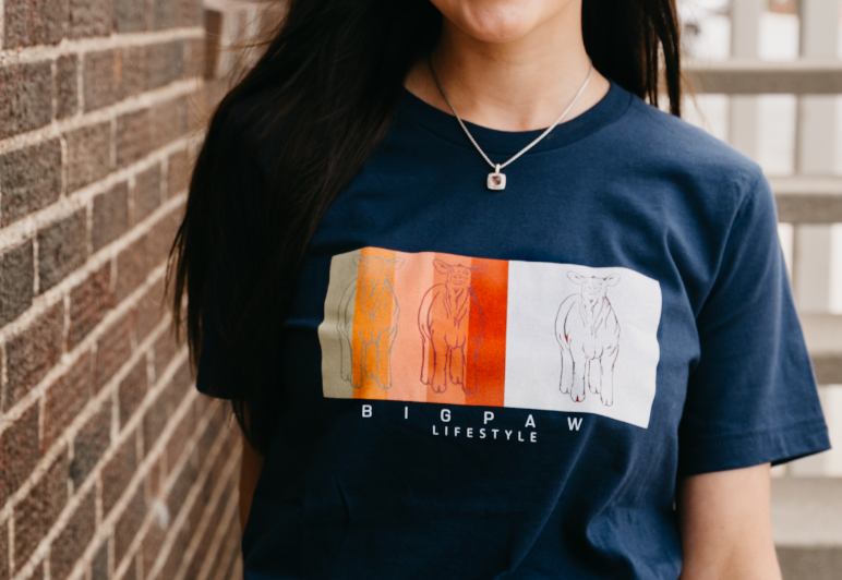 BP Cattle Color Block